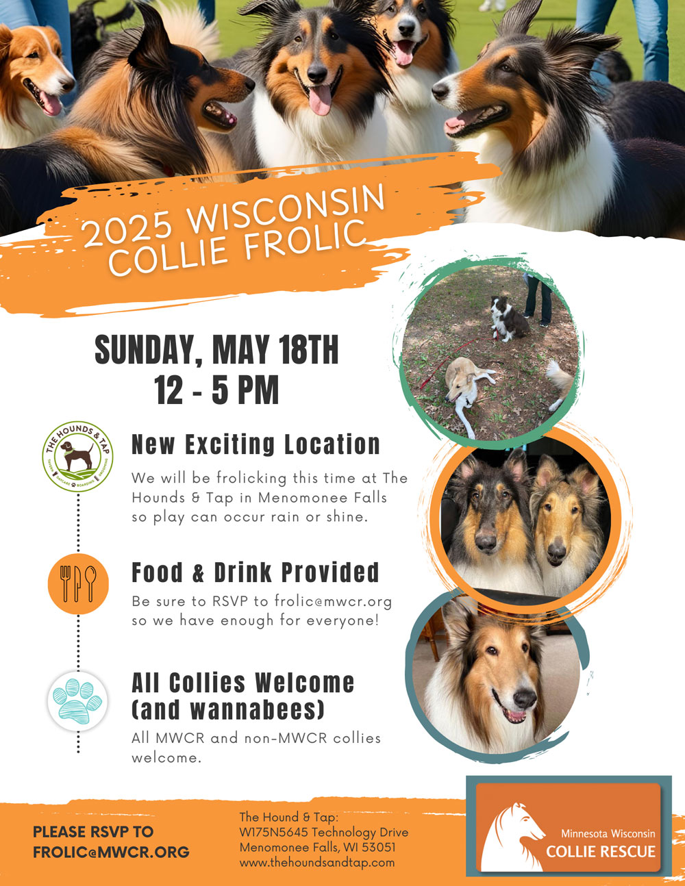 2025-Spring-Collie-Froli-compress